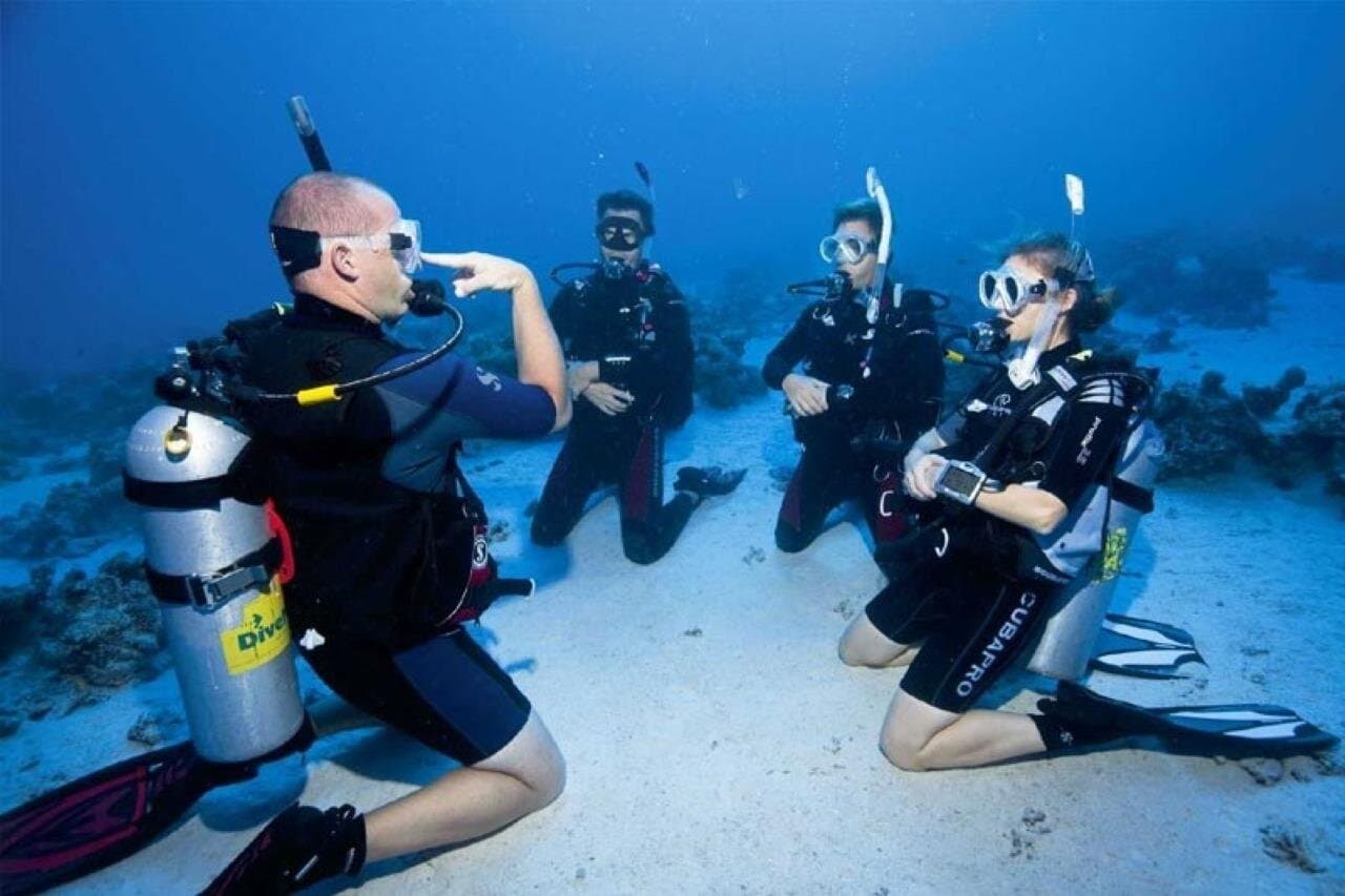 Professional Diving Experience 2 Dives and Lunch : Hurghada