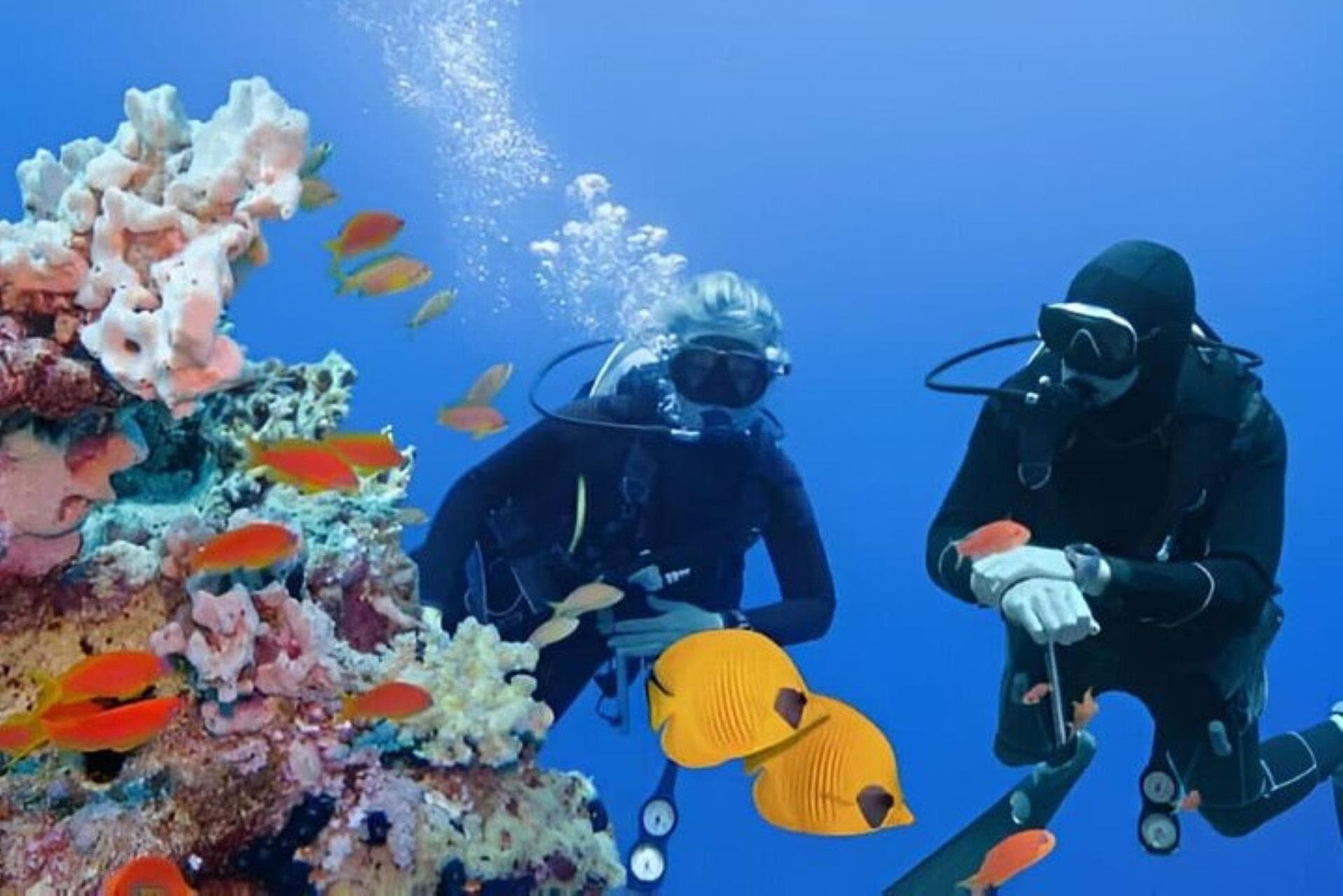 Professional 2 Stops Scuba Diving Full Day Boat Trip - Hurghada