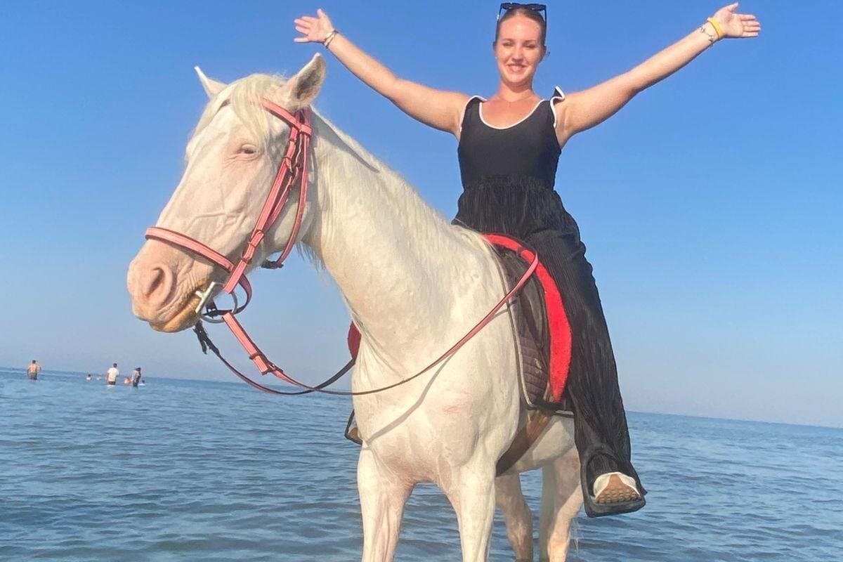 horse Hurghada