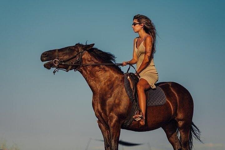 2 Hour Horse Riding Safari Adventure & ATV Quad – Sharm El Sheikh