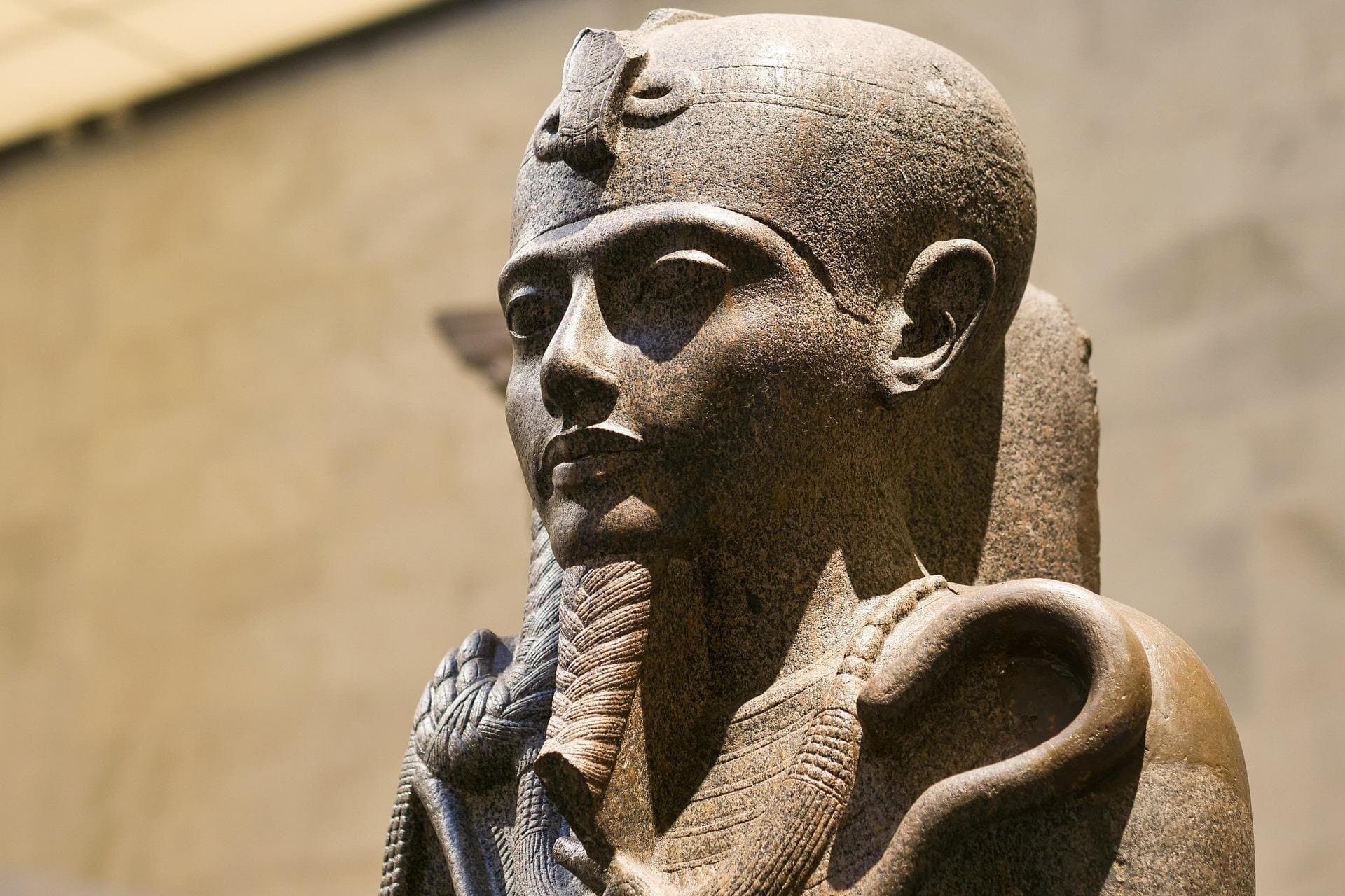 Cairo Layover Private Grand Egyptian Museum Stopover Tour