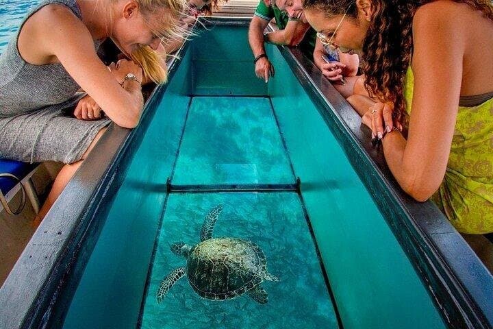 Glass Boat Ride 1 Hour with Transportation – Sharm El Sheikh