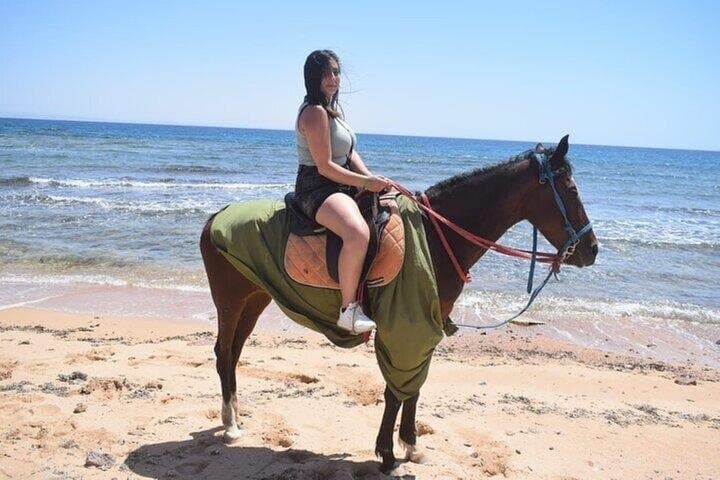 Horse Ride 2 Hours on Beach & Desert with Transfers : Hurghada