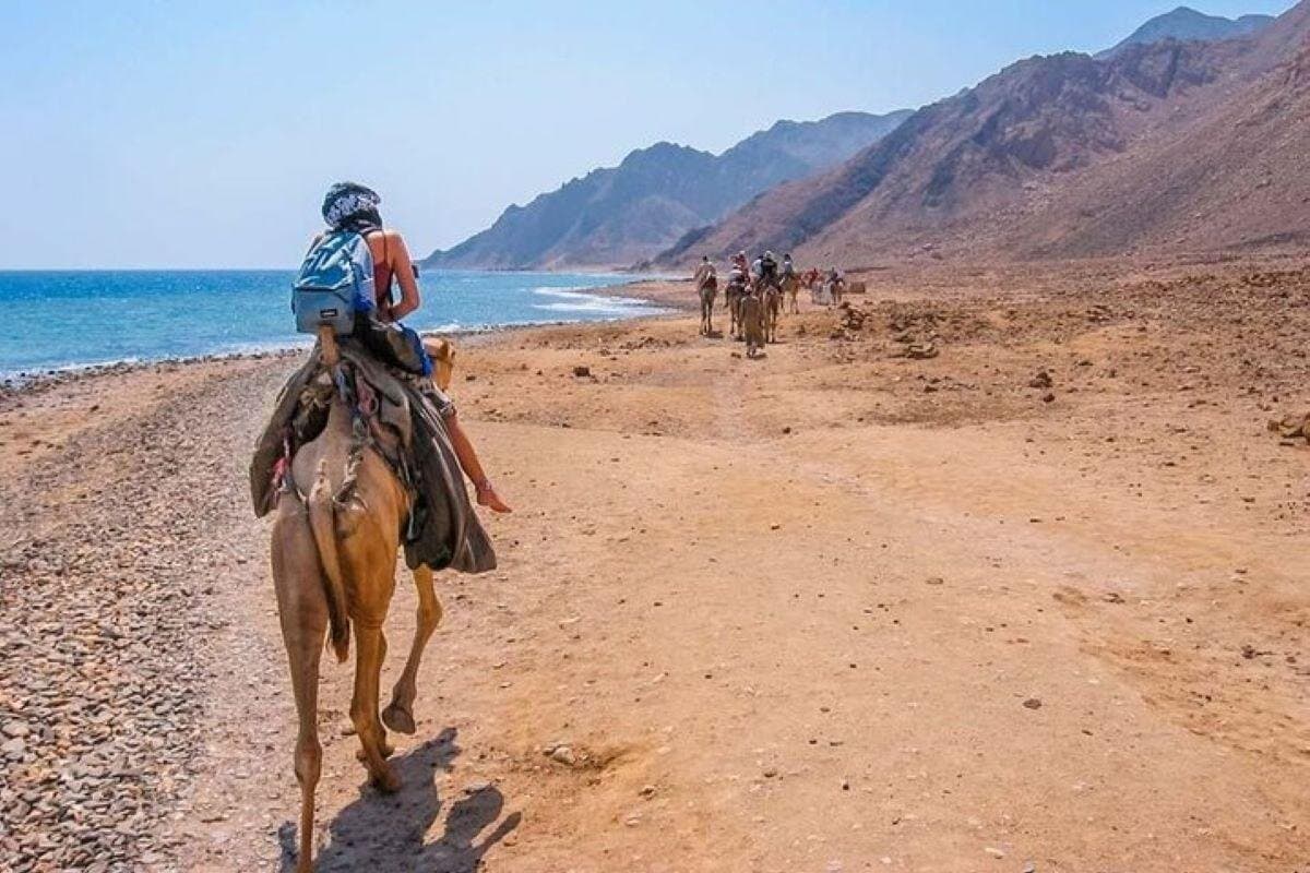 Blue Hole Canyon, ATV Quad, Camel Ride & Lunch - Sharm El Sheikh