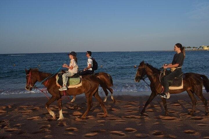 Sunrise Horse Ride 2-Hour Desert and Sea with Transfer – Hurghada