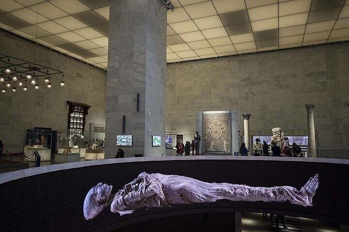 Private Day Tour to The National Museum of Egyptian Civilization