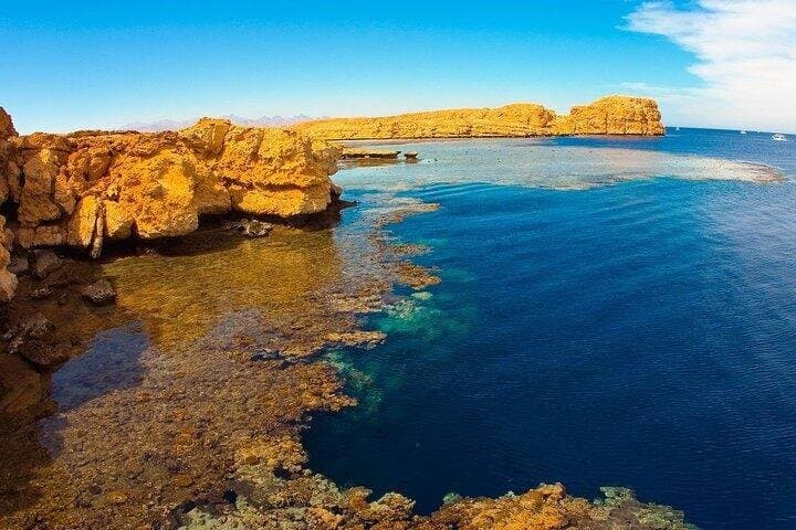 From Sharm El Sheikh Ras Mohammed National Park by Boat