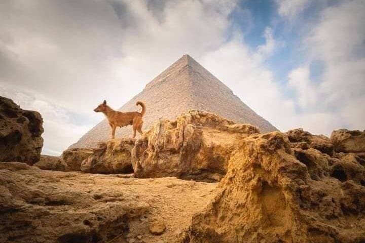 Giza Pyramids & Sphinx Private Tour – Half Day with Camel Ride