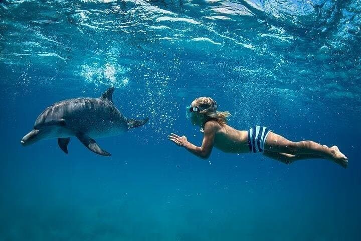 Dolphin House Full Day Snorkeling Cruise With Lunch – Hurghada