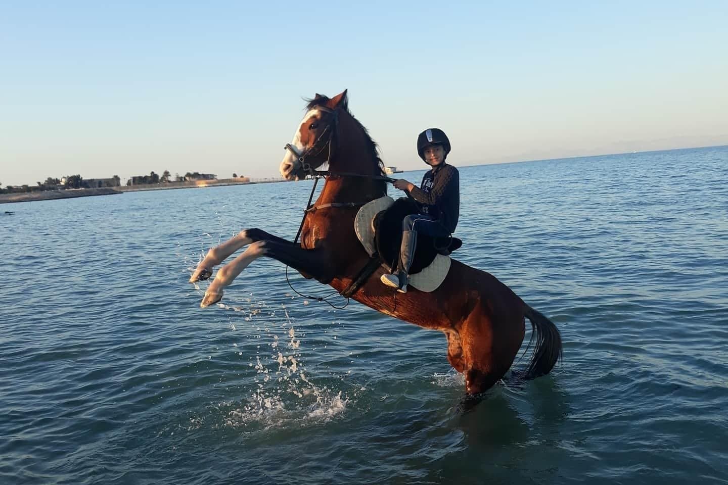 4 Hour Horse Riding in the Desert and Sea
