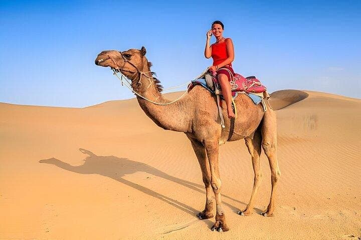Blue Hole & Canyon By Bus with Camel & Lunch - Sharm El Sheikh