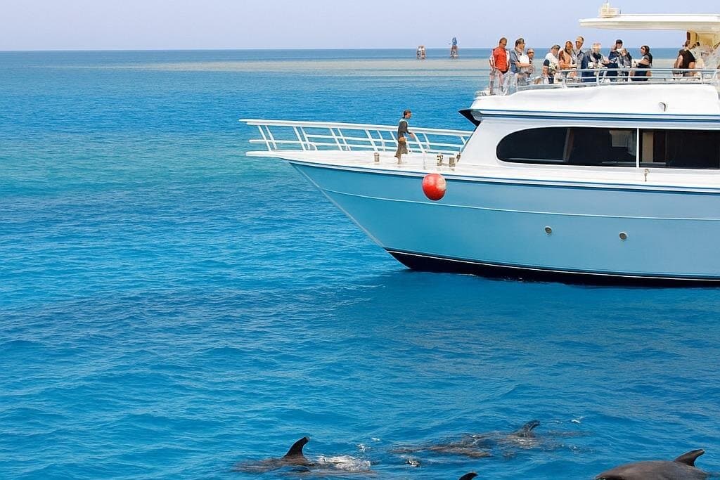 Majestic Dolphins Sea Adventure, Snorkeling, Lunch & Transfers