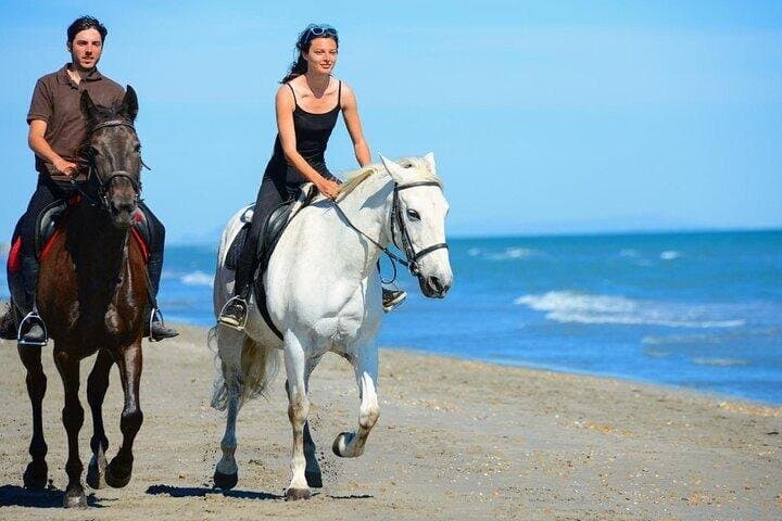 2-Hour Horseback Experience in Hurghada: Beach & Desert
