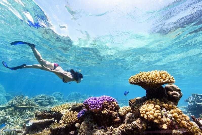 Sharm El Sheikh Desert Safari with Seafood Dinner & Stargazing