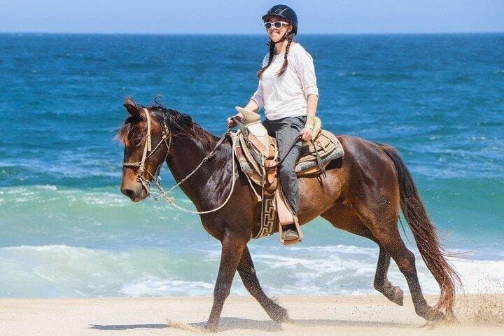 Sharm El Sheikh Horse Riding on the Beach