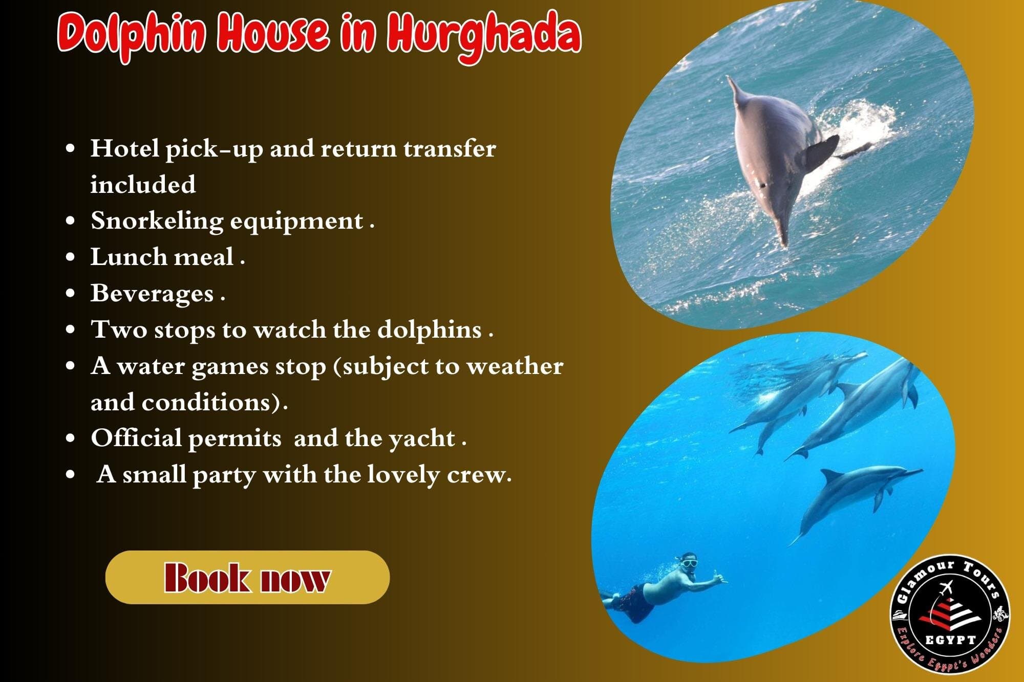 Dolphin House Red Sea Adventure