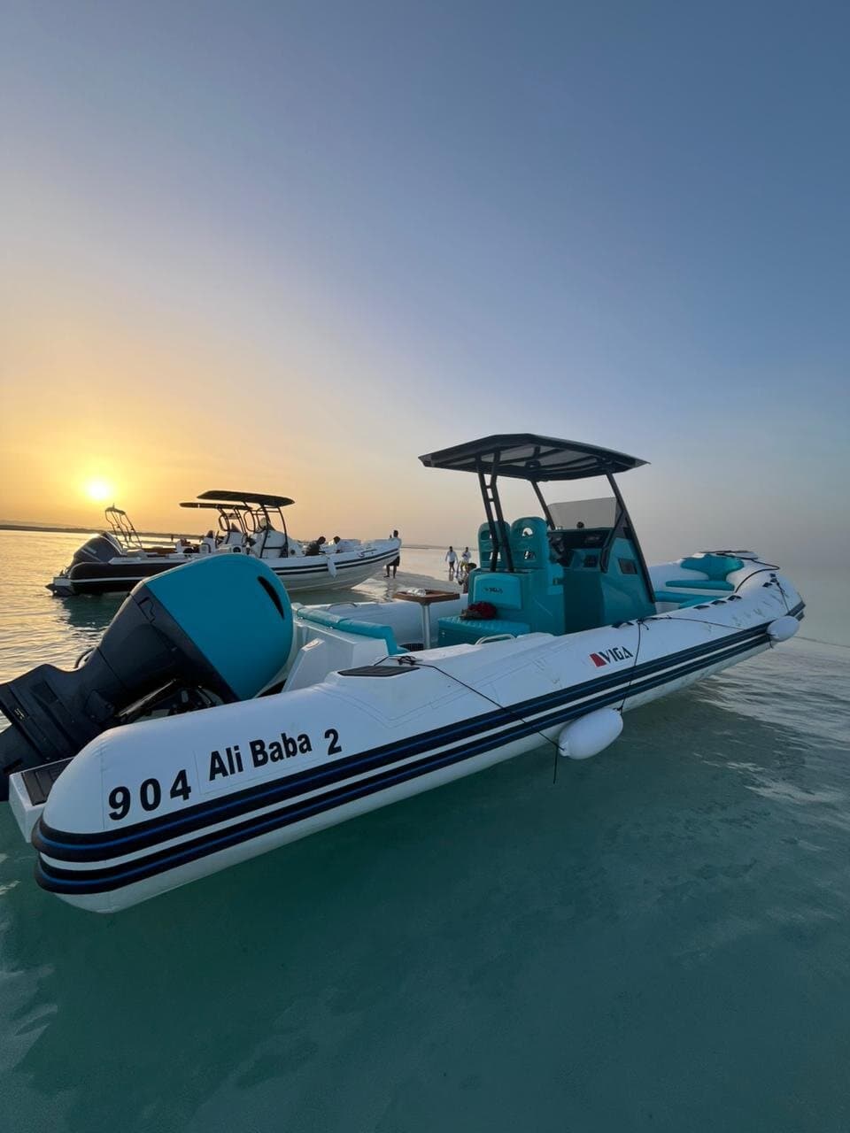 Speed Boat 4 Hours swimming with Dolphins,Snorkeling,White island
