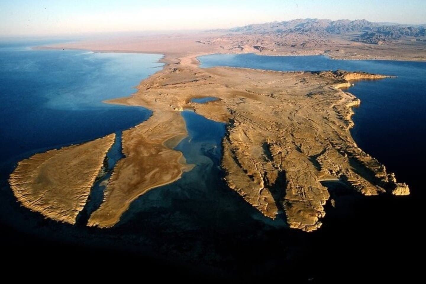 Sharm El Sheikh: Ras Mohammed, white Island, Diving Boat Trip