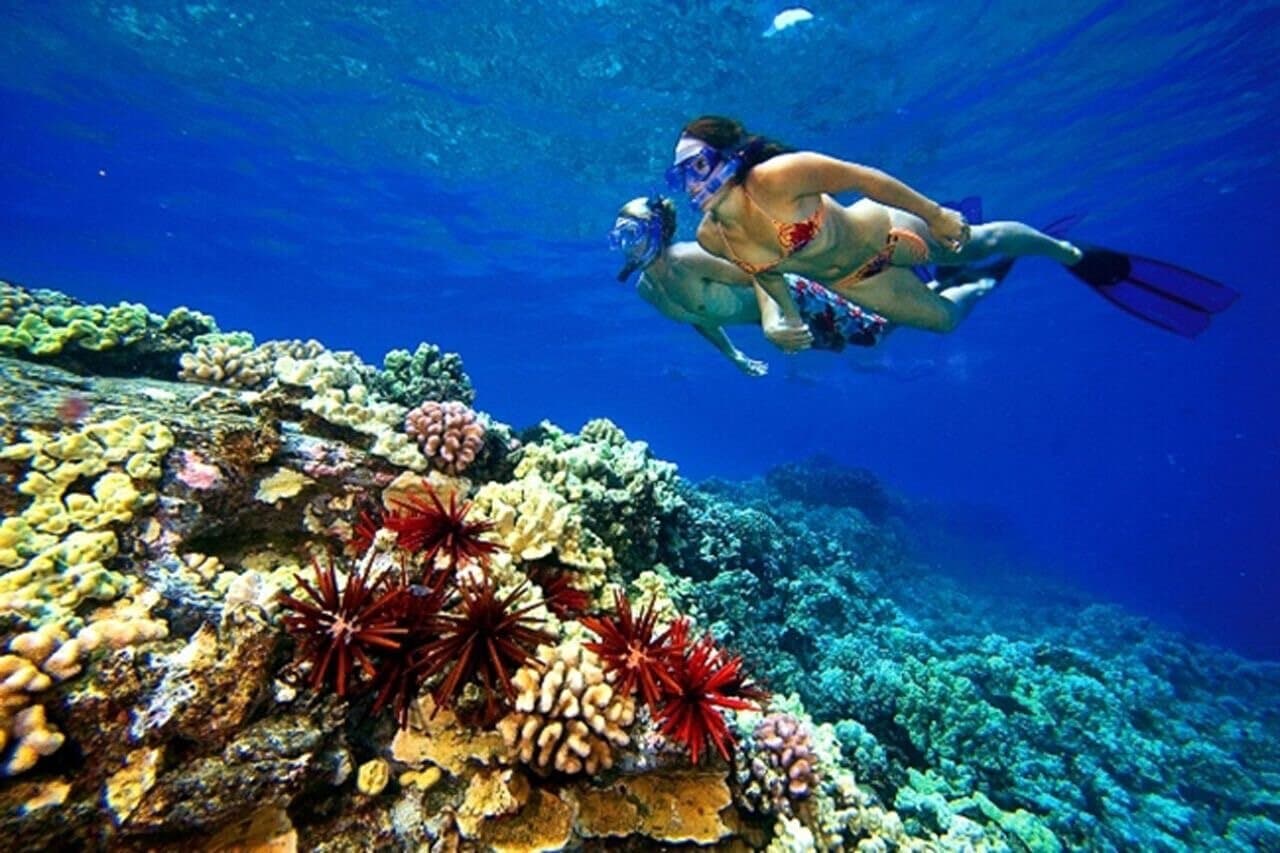 Dahab Snorkeling, Colored Canyon & Jeep Safari Tour from Sharm