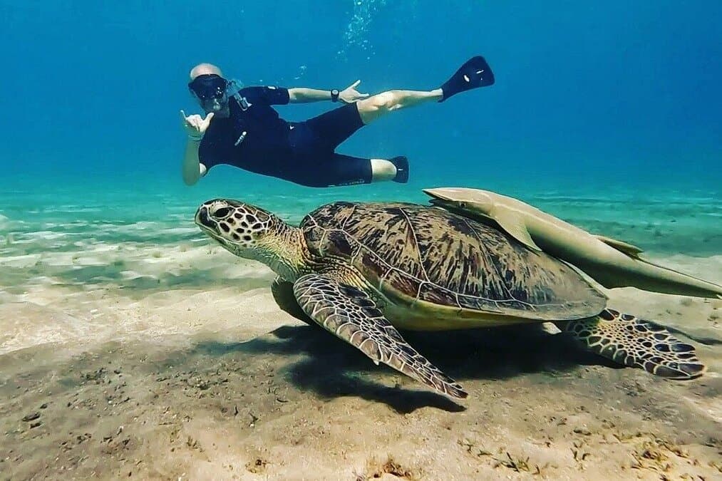 Hurghada : Private Day To Abu Dabbab Beach Marsa Alam With Lunch