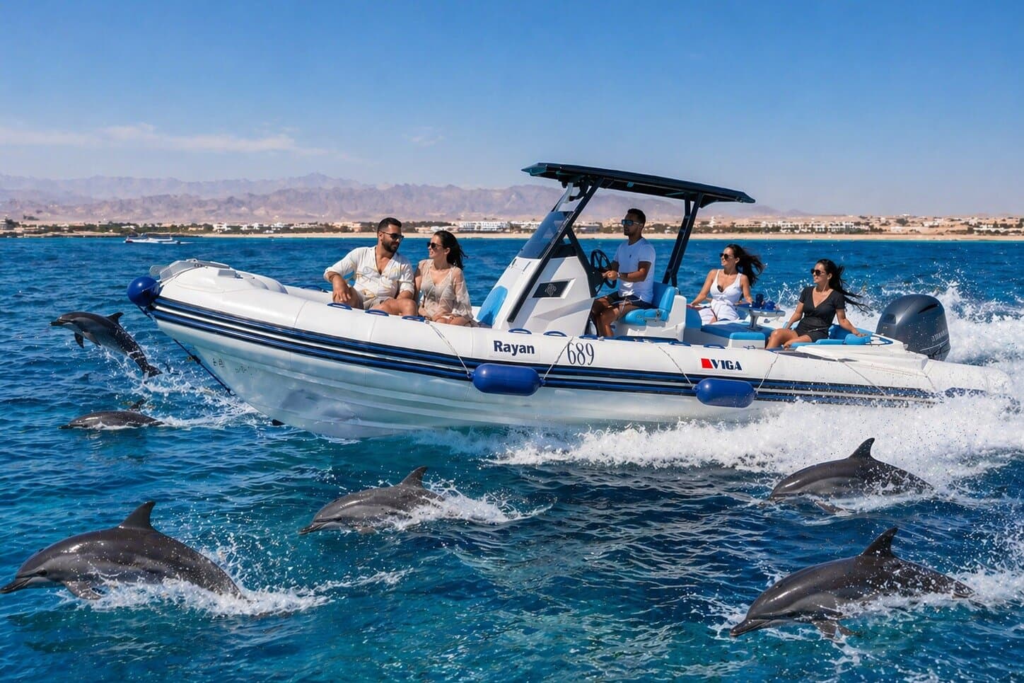 Private 3 Hour Speed Boat Trip to Dolphin House in Hurghada