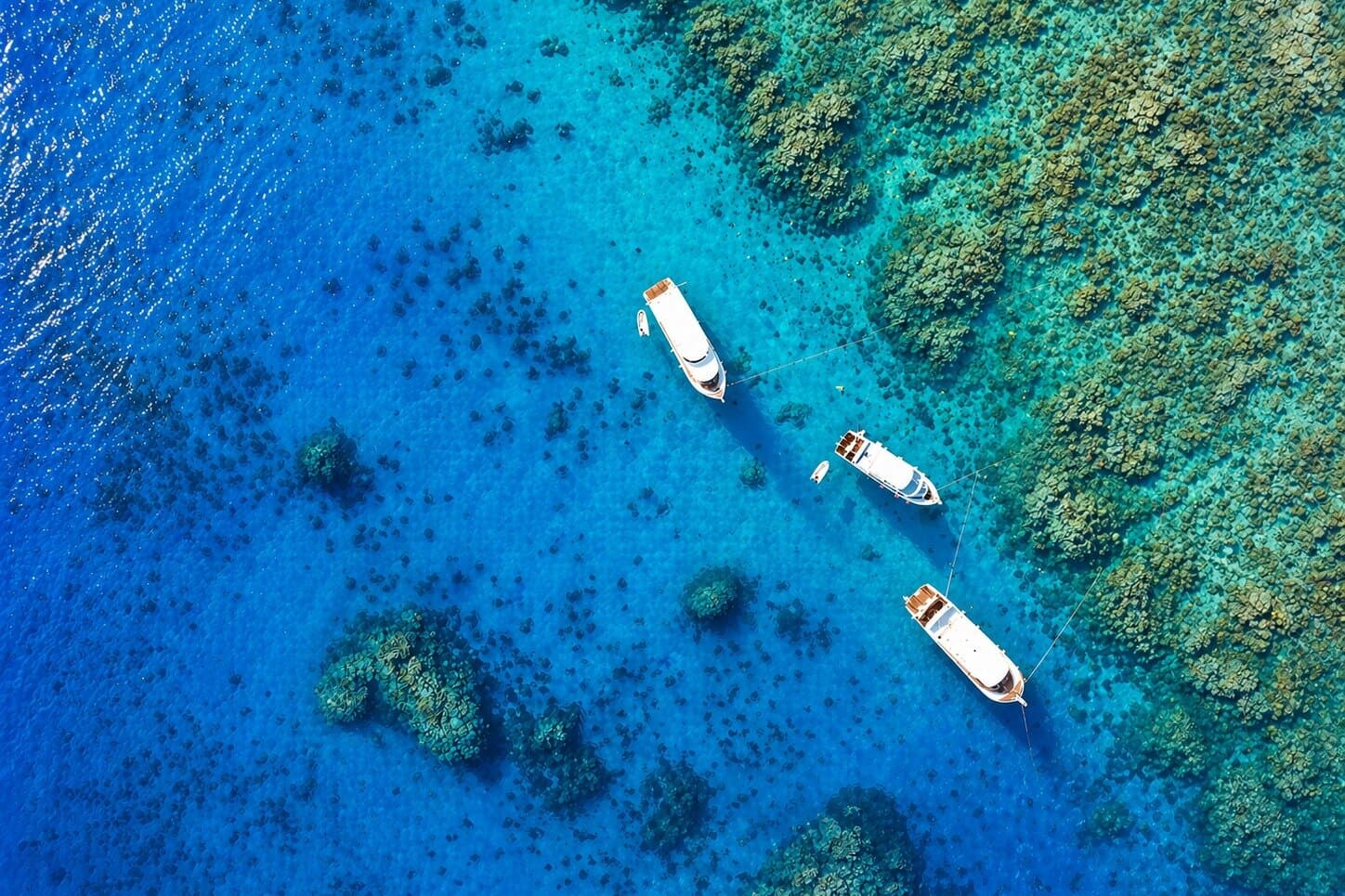 Hurghada: VIP Seafood Yacht to 3 Islands, Dolphins & Snorkeling