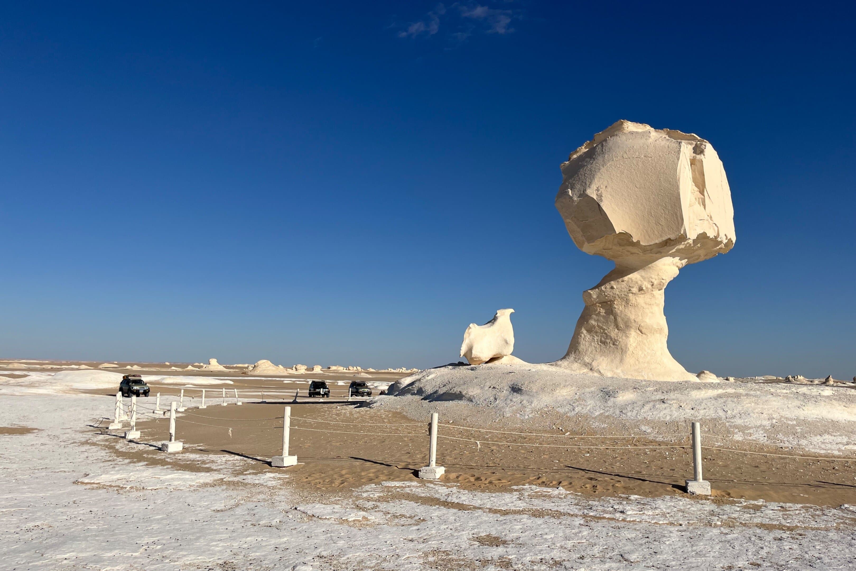 Desert white exciting experience