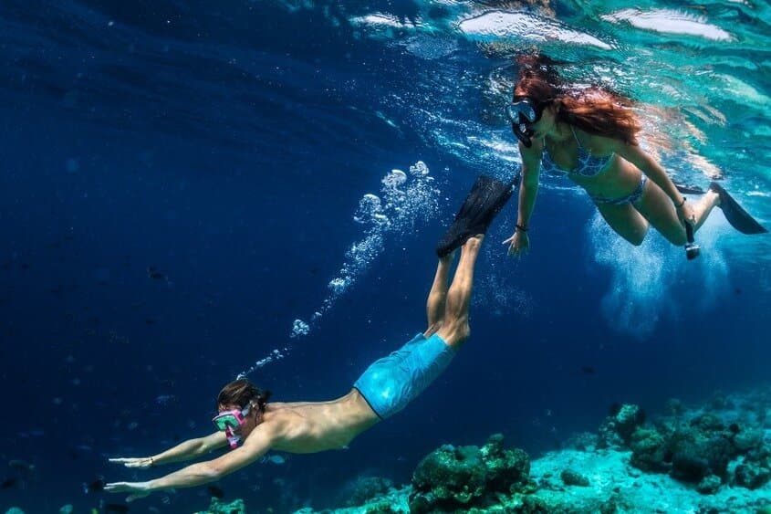 Snorkeling Trip At Port Ghalib Marina from Marsa Alam