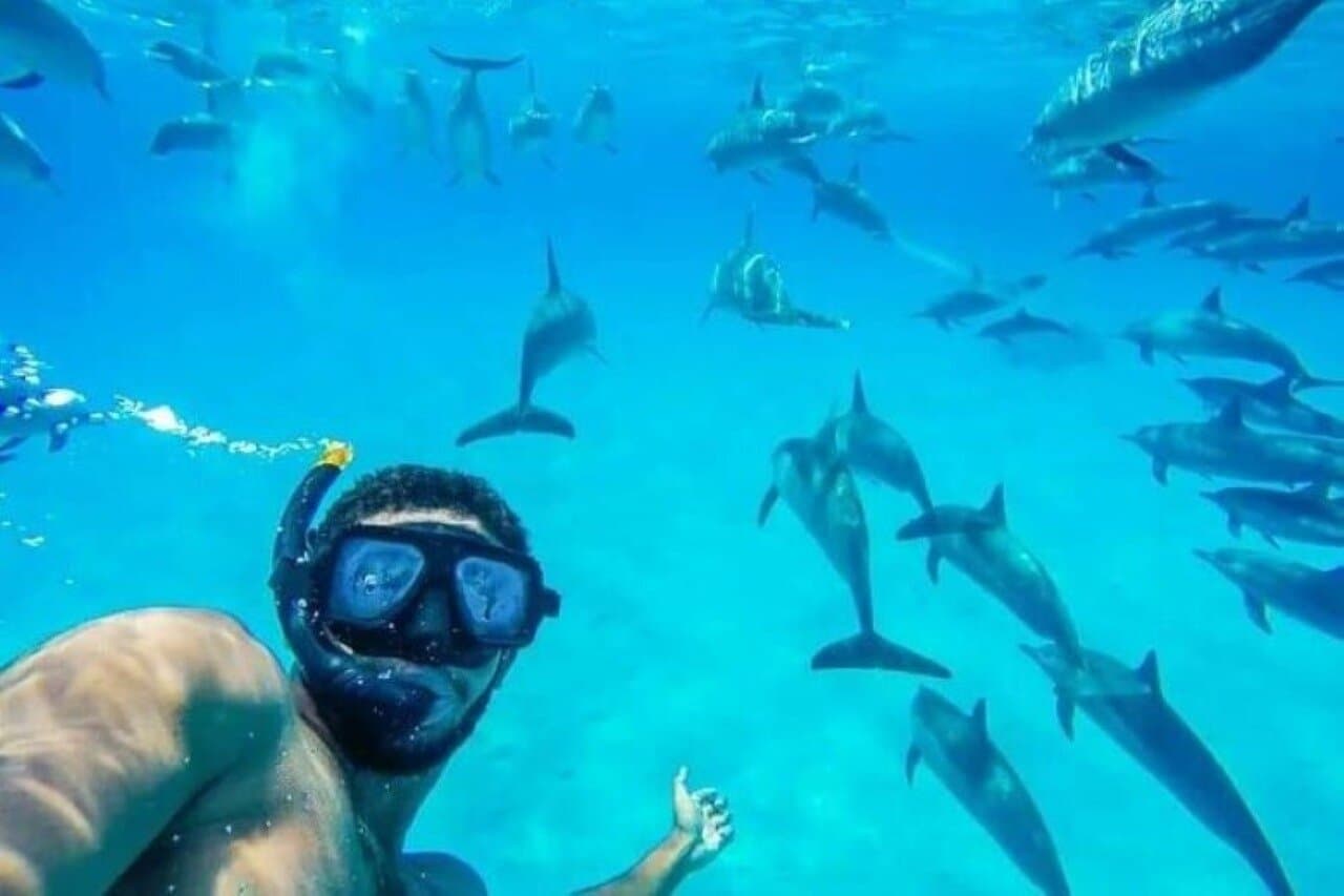 Dolphin House Snorkeling Boat Trip, Water Sports & Lunch-Hurghada