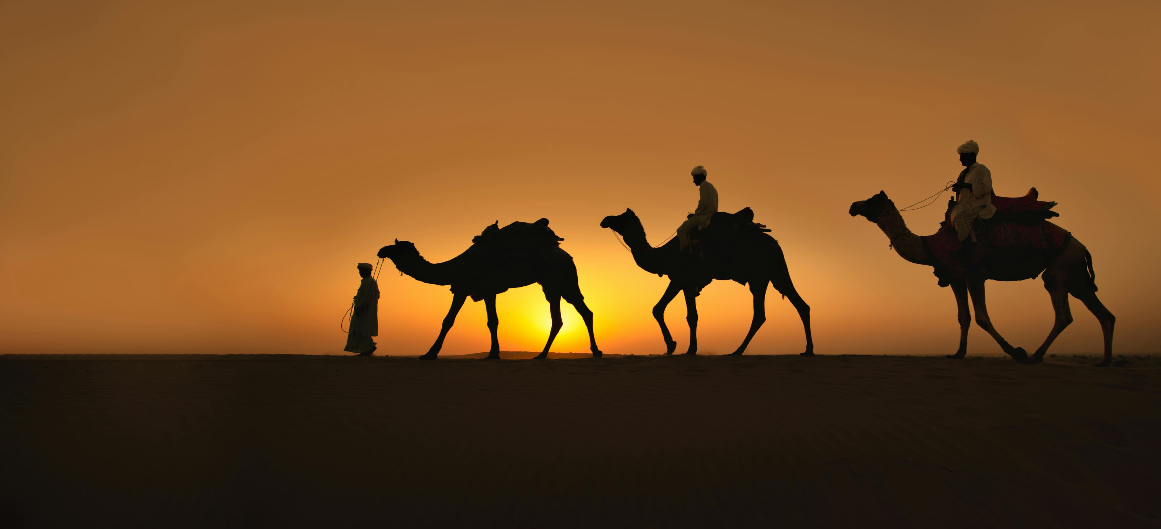 Naqb National Park in a 4x4 with camel ride and dinner