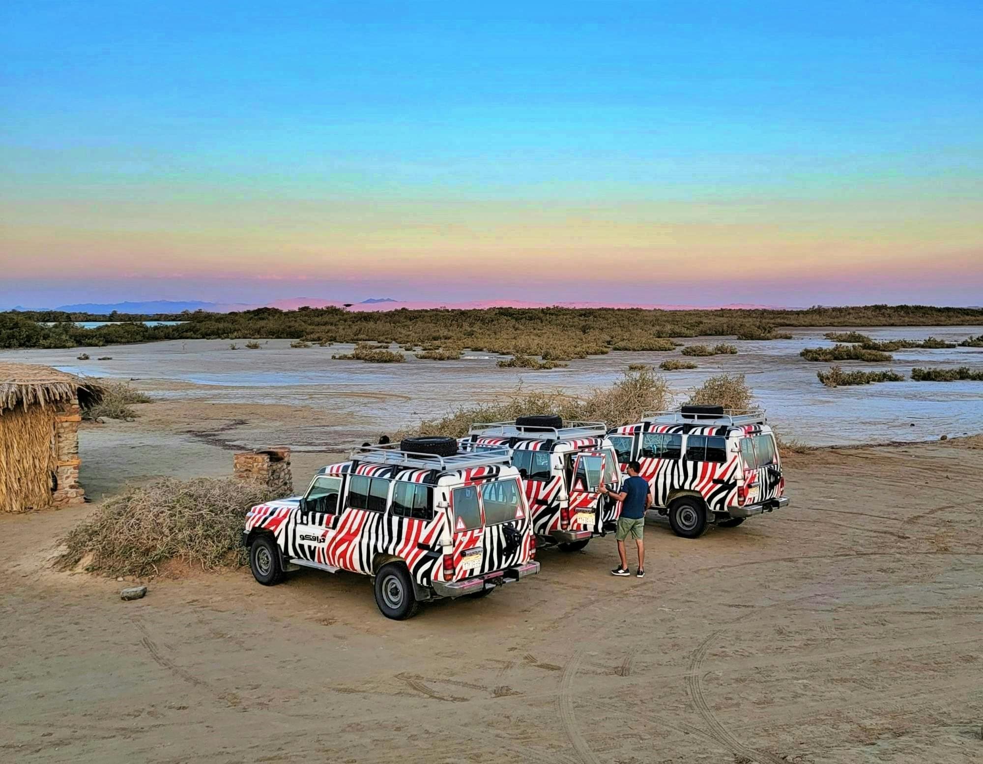 Half-day Nabq National Park safari with lunch in a bedouin tent