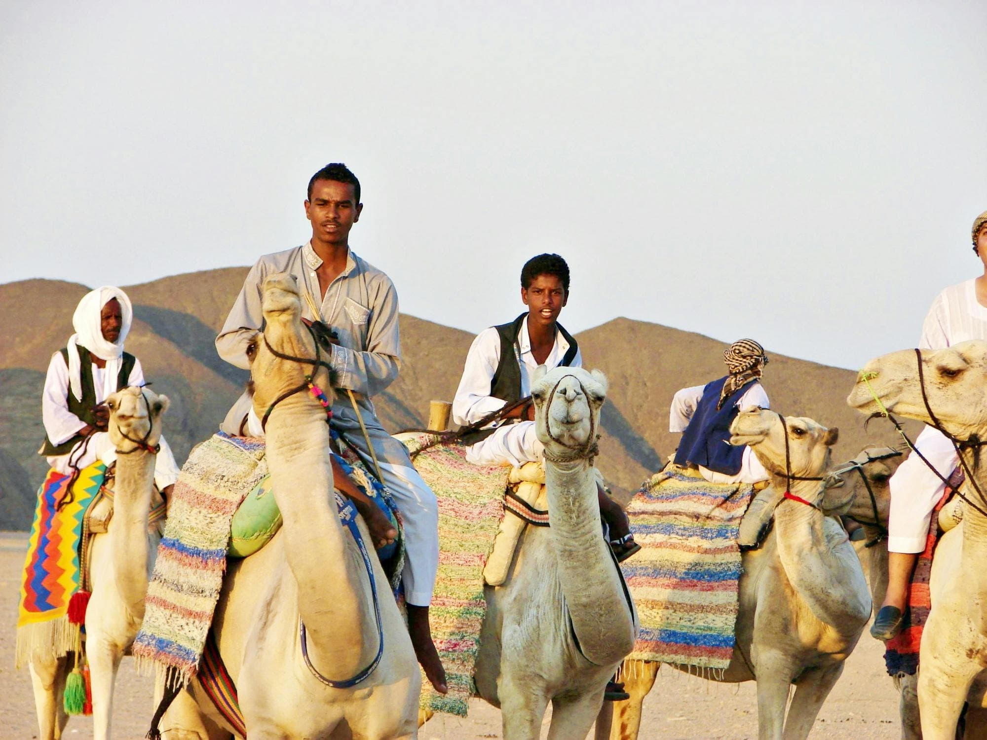 Quad experience with camel ride in the desert of Marsa Alam