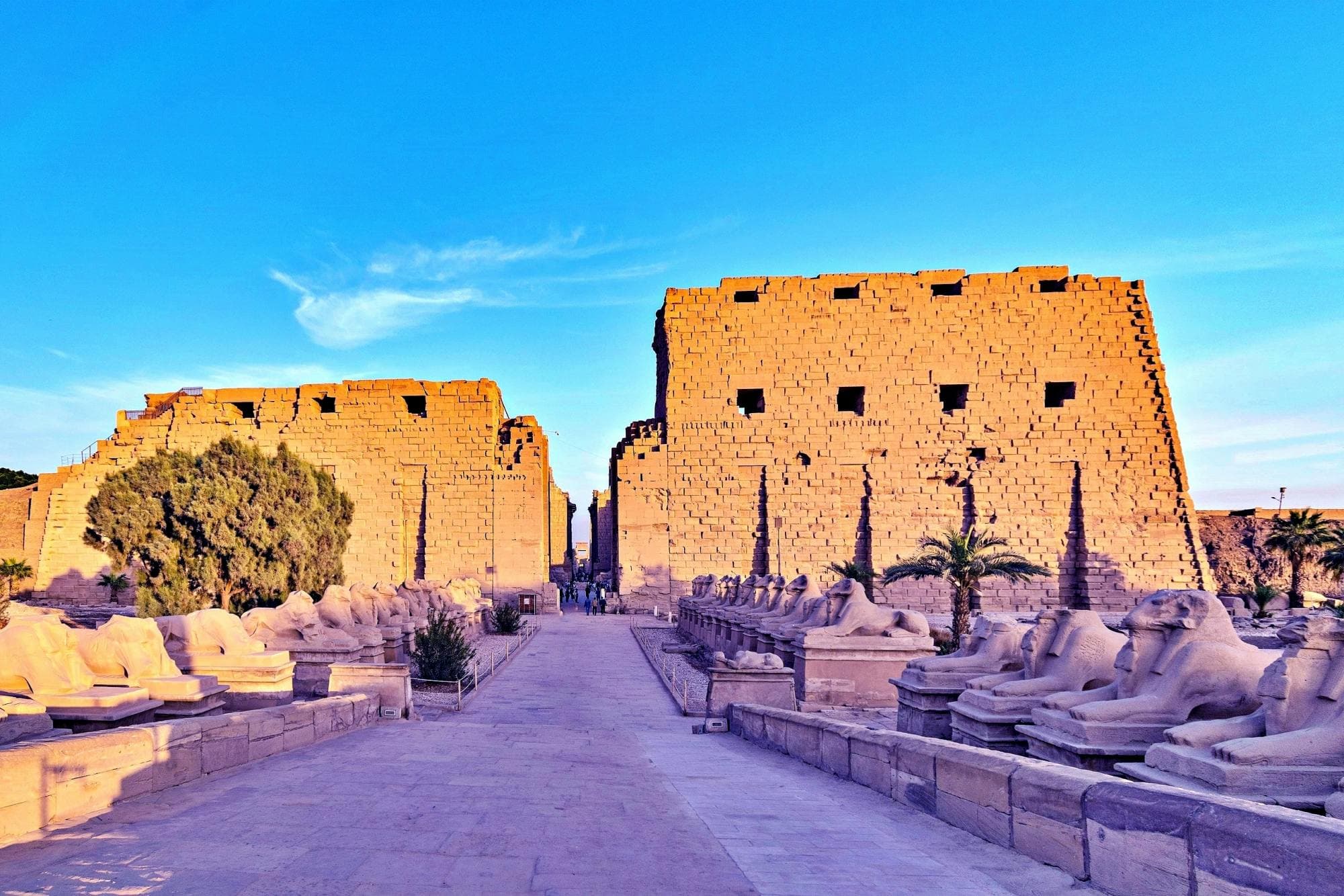 Marsa Alam best bundles: ancient Luxor, Red Sea and desert adventures