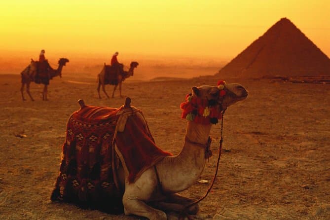 Sunset Camel Ride around the Giza Pyramids Desert