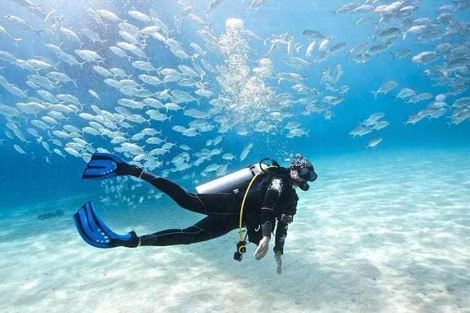 Hurghada: 6-Hour Dive Trip with Two Dive Sites