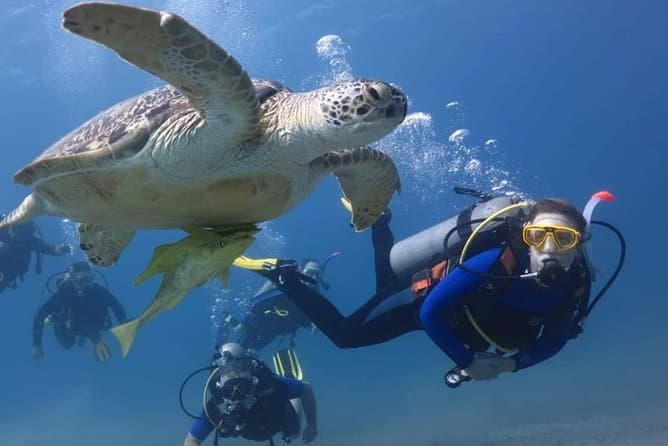 Hurghada Diving