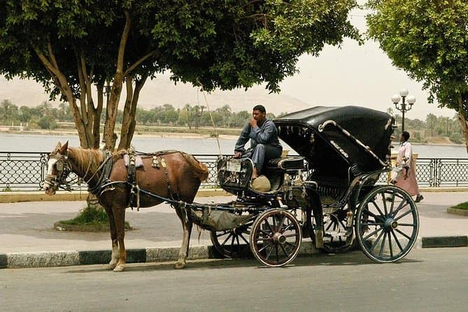 Luxor City Tour By Horse Carriage