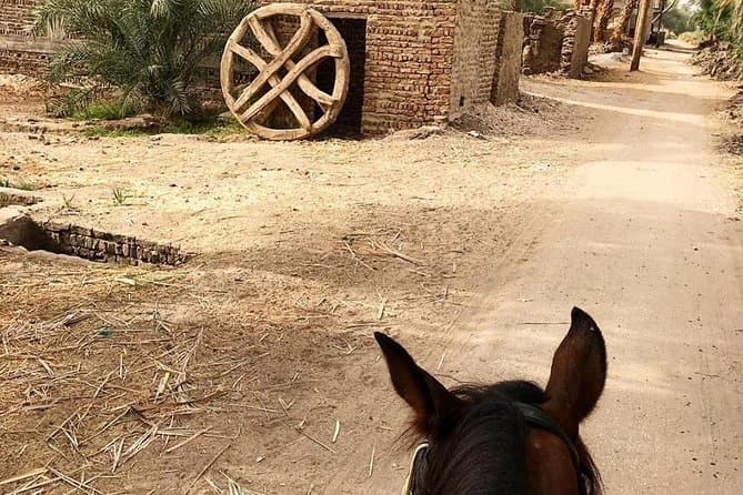 مغامرة ركوب الخيل في الريف
