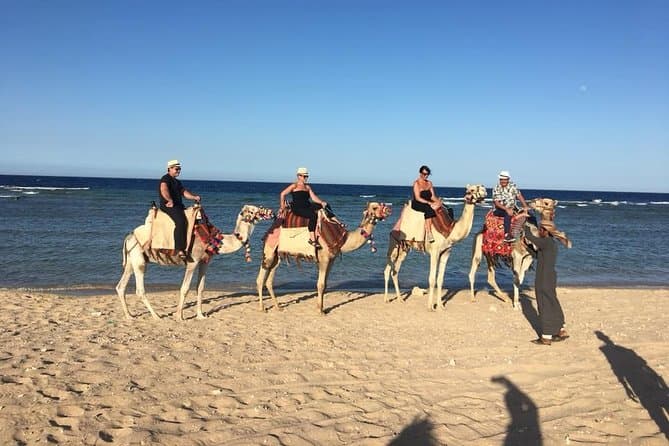 Horse Or Camel Riding -Hurghada