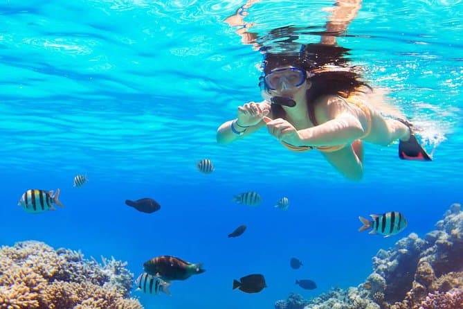 Snorkeling Cruise from Hurghada to Mahmaya, Giftun Islands