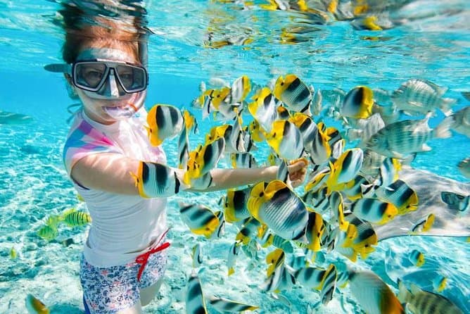 Red Sea Snorkeling Hurgada