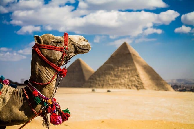 Half Day Giza pyramids Sphinx with 1 Hour Camel ride