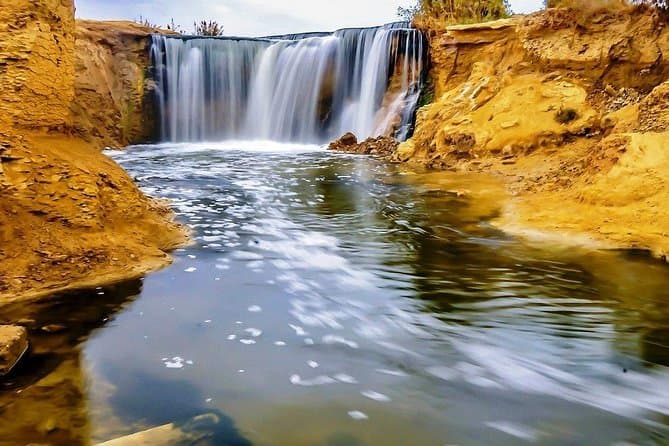 Day Tour To Fayoum Oasis From Cairo