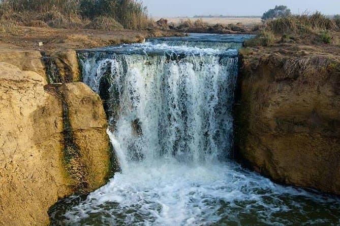 Private day tour El Fayoum ,and Valley of Whales with safari