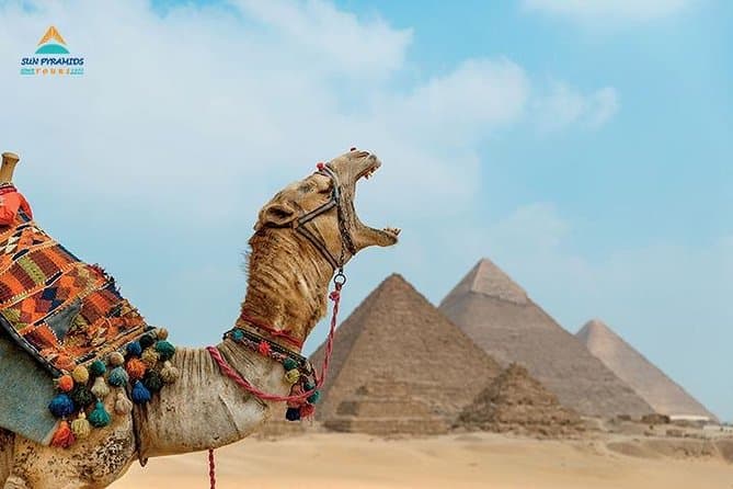 Cairo and Luxor Tours