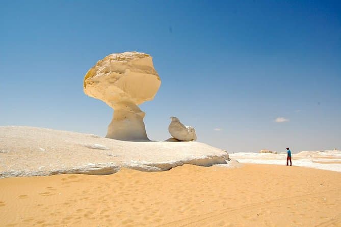 2 Days 1 Night White Desert From Cairo ( private )