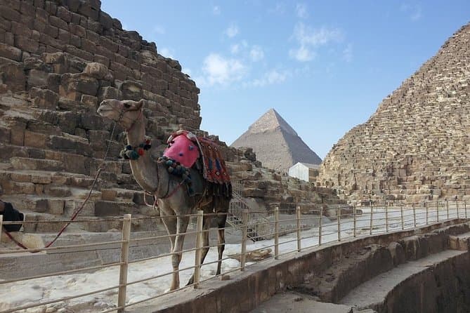Turning into Pharaoh King while riding a Camel