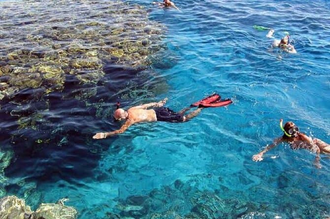Swim With Dolphins Tour Hurghada