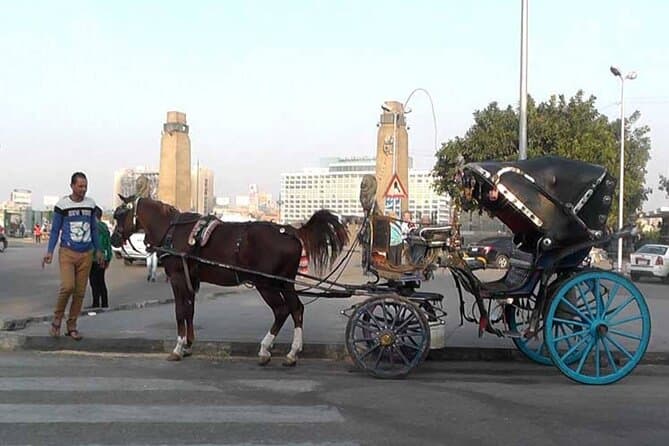 Private Cairo City Tour Day or Night include Meal and Carriage Horse