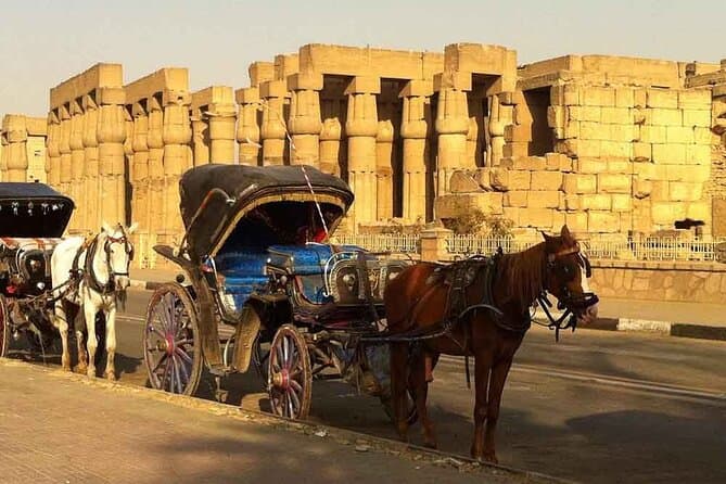 Over Day Private Tour of Luxor from Cairo.